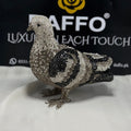 DAFFO Colvia